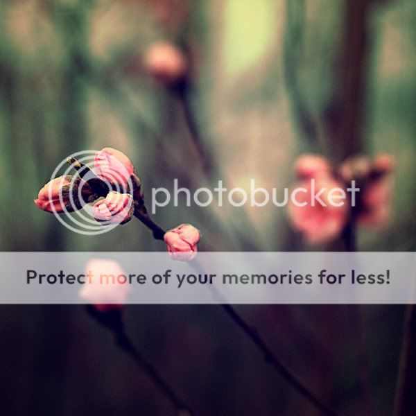 d41ed2b104a8b09011729484667fb589