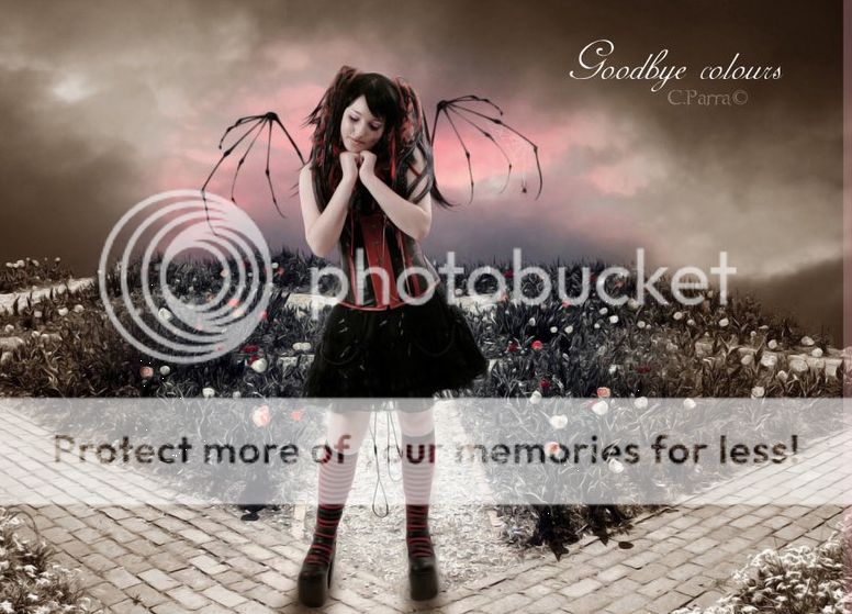 MaxthonShot032609 155222