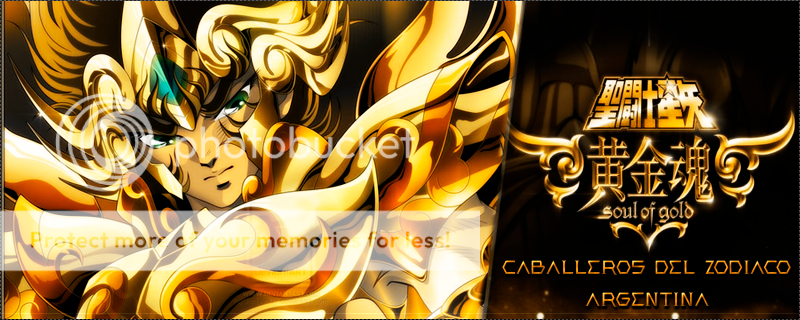 Saint Seiya Foro