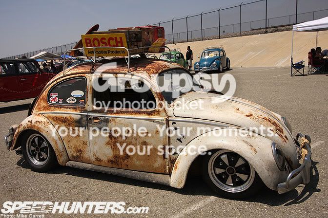 rat6.jpg