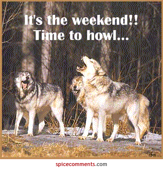 wolf -weeken Pictures, Images and Photos