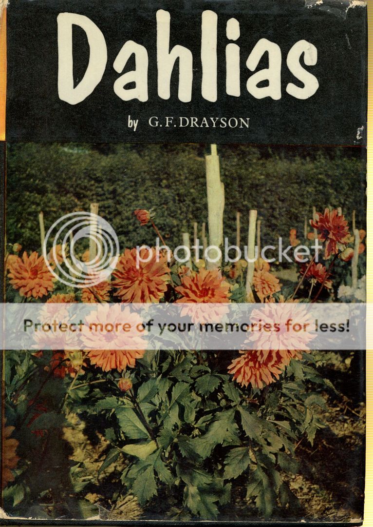 Image for Dahlias