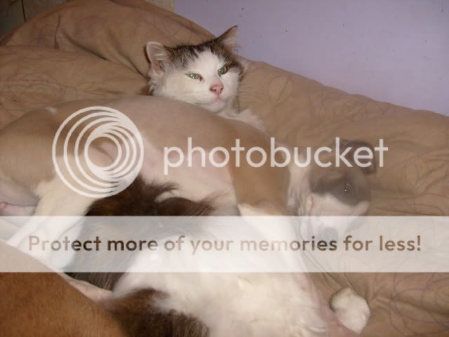 Picture067.jpg