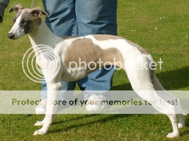mypics177.jpg