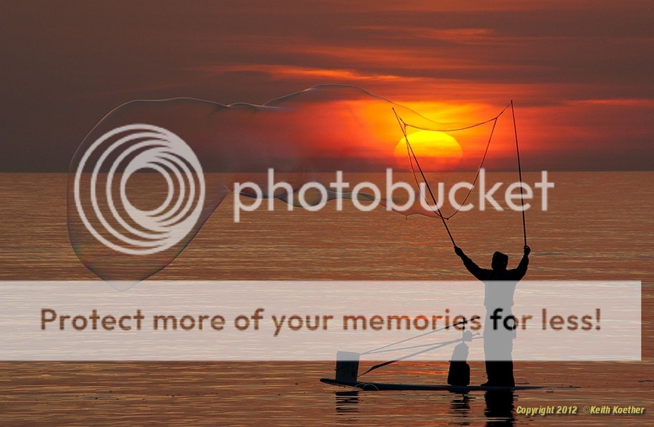 IMGP7919a.jpg~original